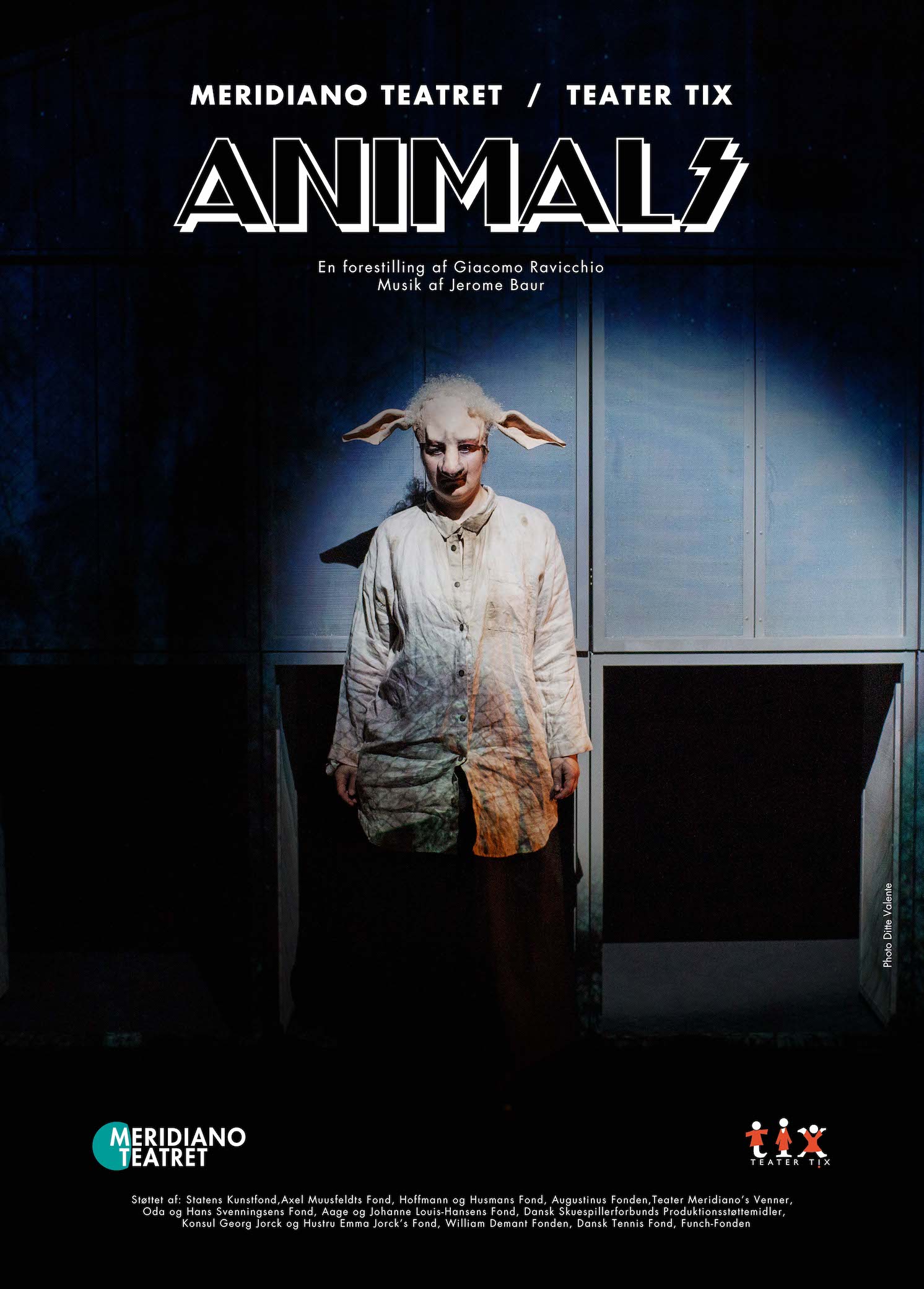Animals poster